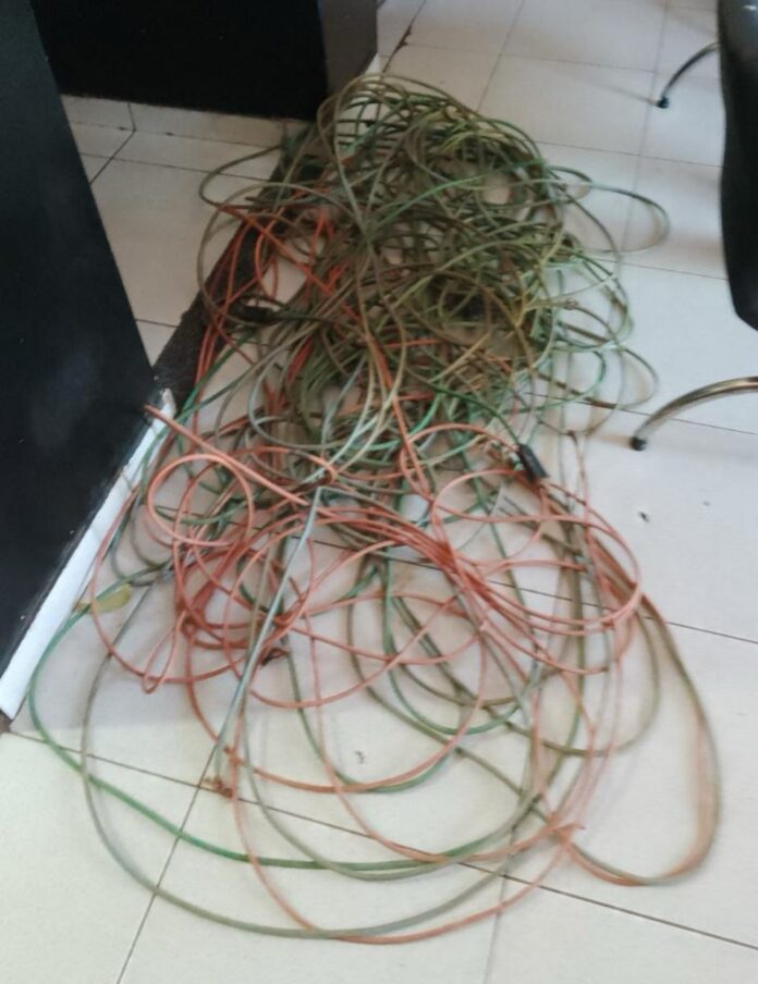 img-1530jpeg