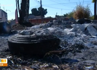 Câmera flagra homem colocando fogo em lixeira pública de Palmas