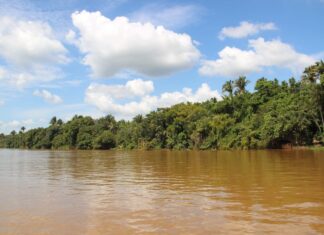 Corpo de idoso que desapareceu após sair de ilha para ir até cidade é encontrado em praia