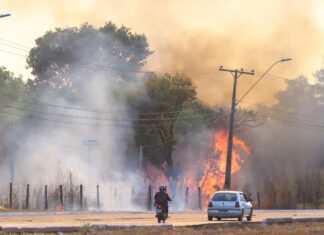 Fumaça e baixa umidade: médicos alertam para doenças respiratórias do período seco e dão dicas para aliviar sintomas