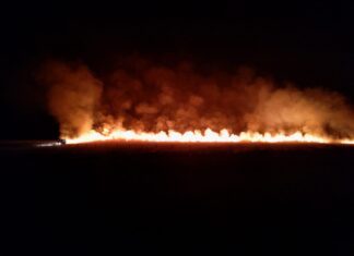 Empresa de energia é condenada a pagar R$ 50 mil após curto-circuito causar incêndio em área do tamanho de 260 campos de futebol
