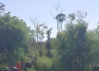 Idoso está desaparecido há uma semana após sair para cuidar do gado; buscas seguem por terra e rio