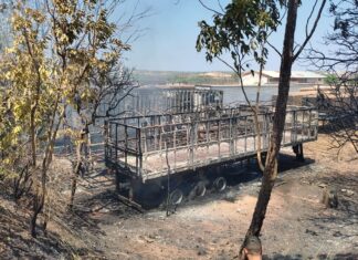 Incêndio de grande proporção atinge pátio de veículos em Palmas