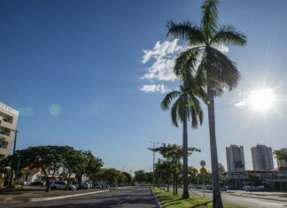 Palmas registra maior temperatura do país pelo segundo dia seguido