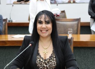 Plano de governo: Janad Valcari (PL)