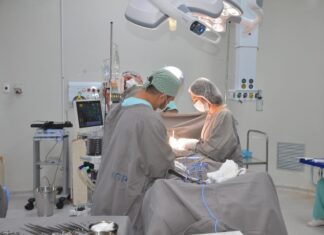 Órgãos de duas vítimas de morte cerebral ajudam a salvar 11 vidas