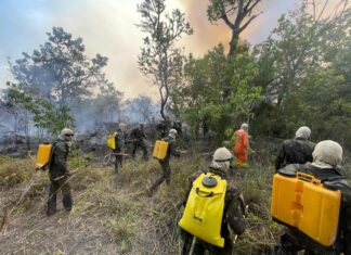 Helicóptero Pantera-K2 vai ajudar a combater desastre ambiental causado pelas queimadas na Ilha do Bananal; conheça aeronave