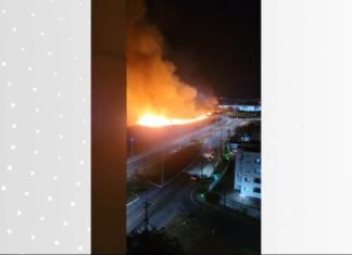 Incêndio em área verde deixa mais de 700 alunos de escola militar sem aulas em Palmas
