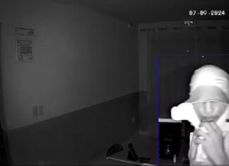 Assaltante invade distribuidora, leva marmitas de funcionários e ainda toma suco de caixinha; VÍDEO