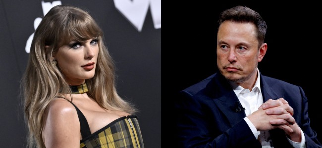 taylor-musk-montagem