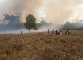 Mais de 100 pessoas tentam combater incêndio florestal que já dura quatro dias; VÍDEO