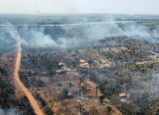 Governador do Tocantins decreta situação de emergência por causa de incêndios florestais