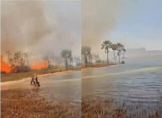 VÍDEO: Famoso ponto turístico do Tocantins é atingido por incêndio e visitantes precisam sair às pressas
