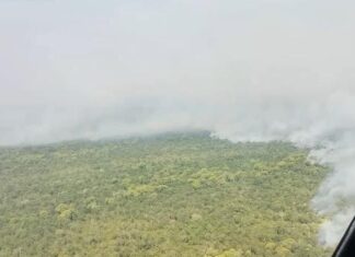 Incêndios na Ilha do Bananal ameaçam aldeias e indígenas se revezam para evitar que fogo chegue às casas