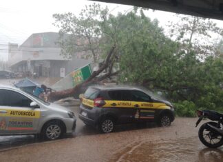 Palmas volta a registrar chuva após quase 130 dias de estiagem