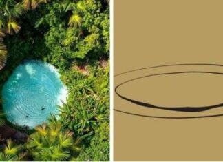 Tocantins ilustrado: conheça símbolos que são conceitos culturais e históricos do estado