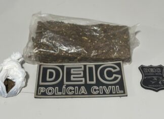 Mulher grávida é presa após ser flagrada com meio quilo de maconha