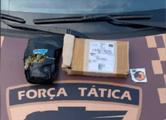 Homens são presos após receberem caixa de maconha pelos Correios e dizerem que encomenda era celular