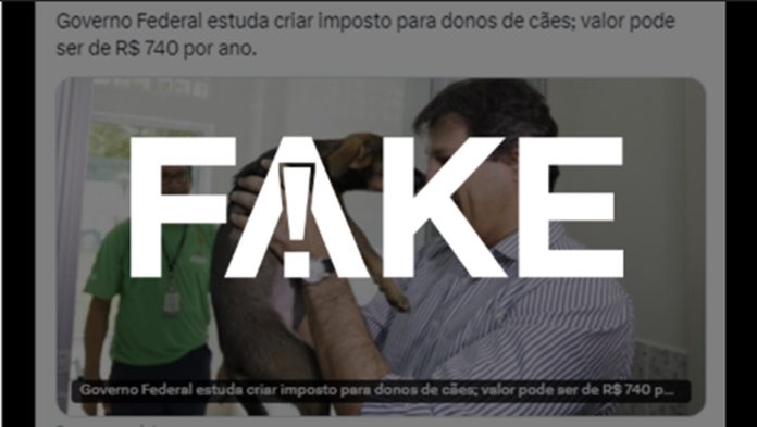 imposto-caes
