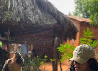 Uivado, voz e violão: cachorro faz ‘dueto’ com influenciadora e vídeo viraliza na internet
