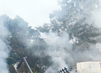 Corpo de motorista que morreu em engavetamento de caminhões passará por exame de DNA para ser identificado