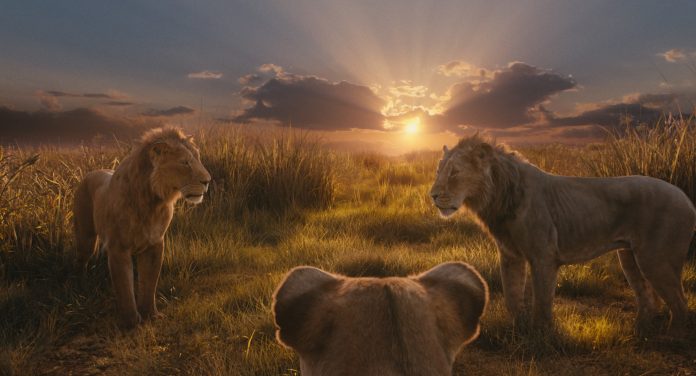 mufasa-3
