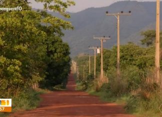 Moradores de assentamento reclamam de falta de energia elétrica e prejuízos: ‘Estamos perdendo a comida’
