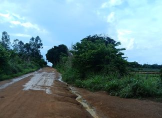 Guarda Metropolitana Ambiental flagra vazamento de esgoto e autua BRK em mais de R$ 36 milhões