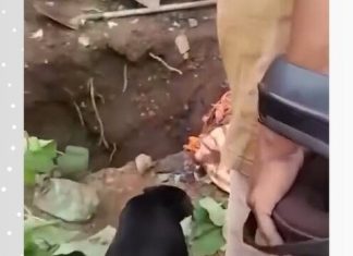 Vídeo mostra cova no quintal de casa onde homem foi enterrado após ser assassinado; esposa e cunhado são suspeitos