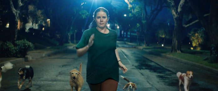 canina-amy-adams-1-scaled