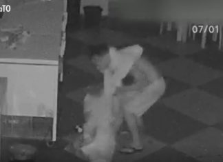 VÍDEO: homem invade açougue duas vezes na mesma madrugada para furtar carnes, dinheiro e facas