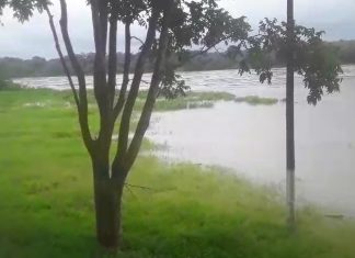 Alerta da Defesa Civil prevê aumento nos níveis dos rios Palma e Paranã e riscos de enchente; veja cuidados