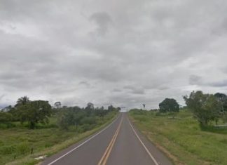 Corpo de idoso é encontrado ao lado de motocicleta na TO-201