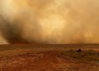 Sobrevivente de incêndio em fazendas recebe alta após quase cinco meses e emociona equipe médica