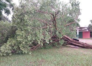 Inmet emite alerta de tempestade para quase todas as regiões do Tocantins