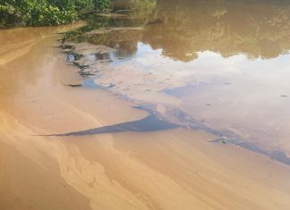 Córrego e lago do Parque Cesamar são atingidos por derramamento de óleo