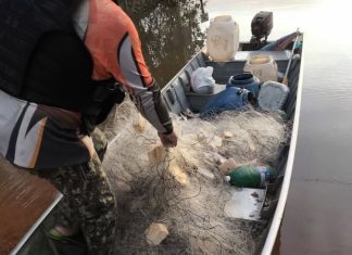 Dois homens são presos após polícia encontrar freezers com 1,7 tonelada de pescados