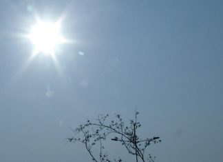 Calor extremo: 16 cidades do Tocantins registraram altas temperaturas por mais de 150 dias em 2024