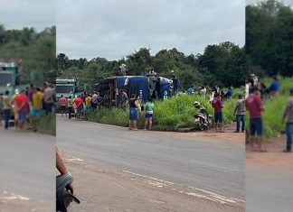 Caminhão carregado de gado tomba na BR-153 e deixa animais mortos