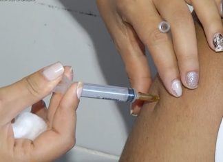 Paciente faz transplante de fígado após contrair febre amarela em viagem a trabalho no Tocantins, diz secretaria de saúde