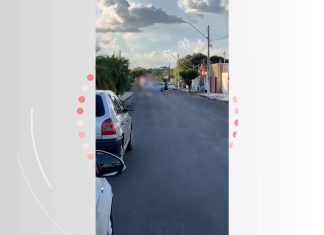 Vaca solta em rua é morta a tiros por policial de folga após danificar veículos e ferir pessoas, diz PM