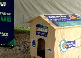 Casinha, ração e microchip: Prefeitura de Palmas anuncia projetos de cuidados para animais de rua