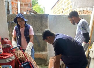 Agentes realizam ações de ‘caça’ a escorpiões para evitar acidentes dentro de casas em Gurupi