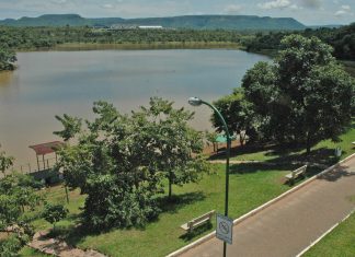 Laudo descarta morte por febre amarela em corpo de macaco encontrado no Parque Cesamar