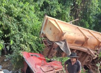 Carreta carregada de soja tomba em ribanceira após motorista ouvir pneu estourar