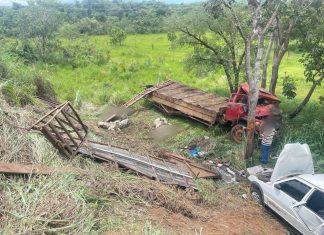 Acidente entre dois caminhões e um carro deixa bois mortos na TO-050