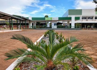 Processos seletivos do IFTO abrem vagas para professores substitutos em duas cidades com salários de até R$ 8,5 mil