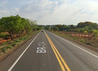 Motorista mata cavalos em rodovia do Tocantins e deixa local de carona, dizem testemunhas