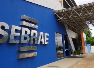 Sebrae abre seleção para contratar analista técnico com salário de R$ 5,2 mil