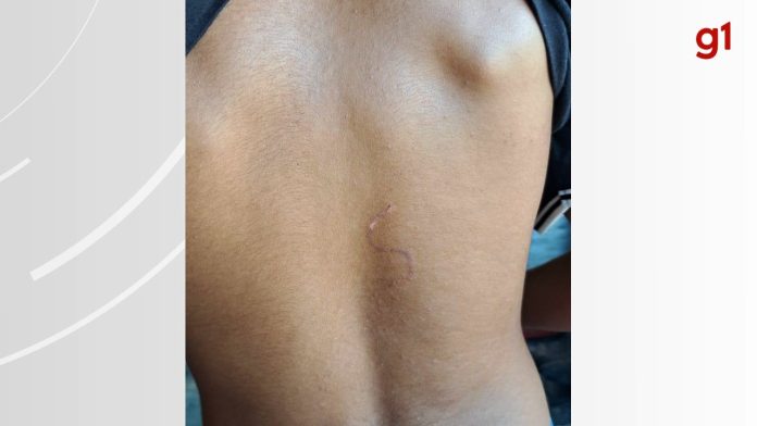 whatsapp-image-2025-04-29-at-13.03.07-1-